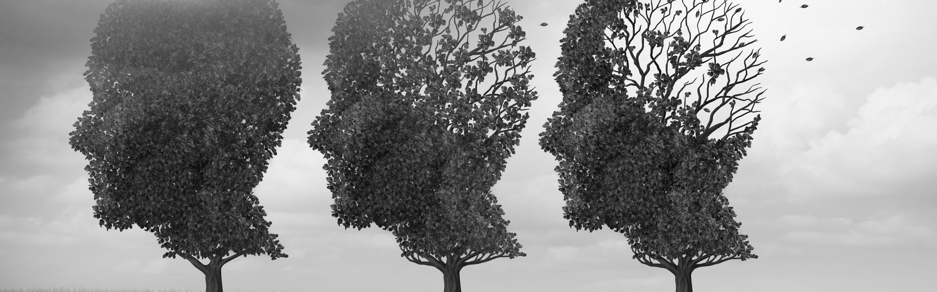 Ambiguous Grief and Loss in Narcissistic and Emotionally Abusive Relationships